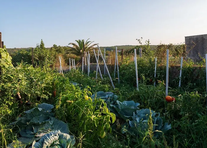 Hébergement de vacances Blacksmith's House - House With Heated Pool *